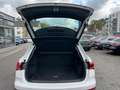 Audi Q3 40 TDI quattro basis/Panorama/Totwinkel Weiß - thumbnail 20