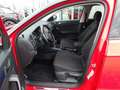 Volkswagen T-Roc 2.0 TDI DSG United 4Motion Rot - thumbnail 7