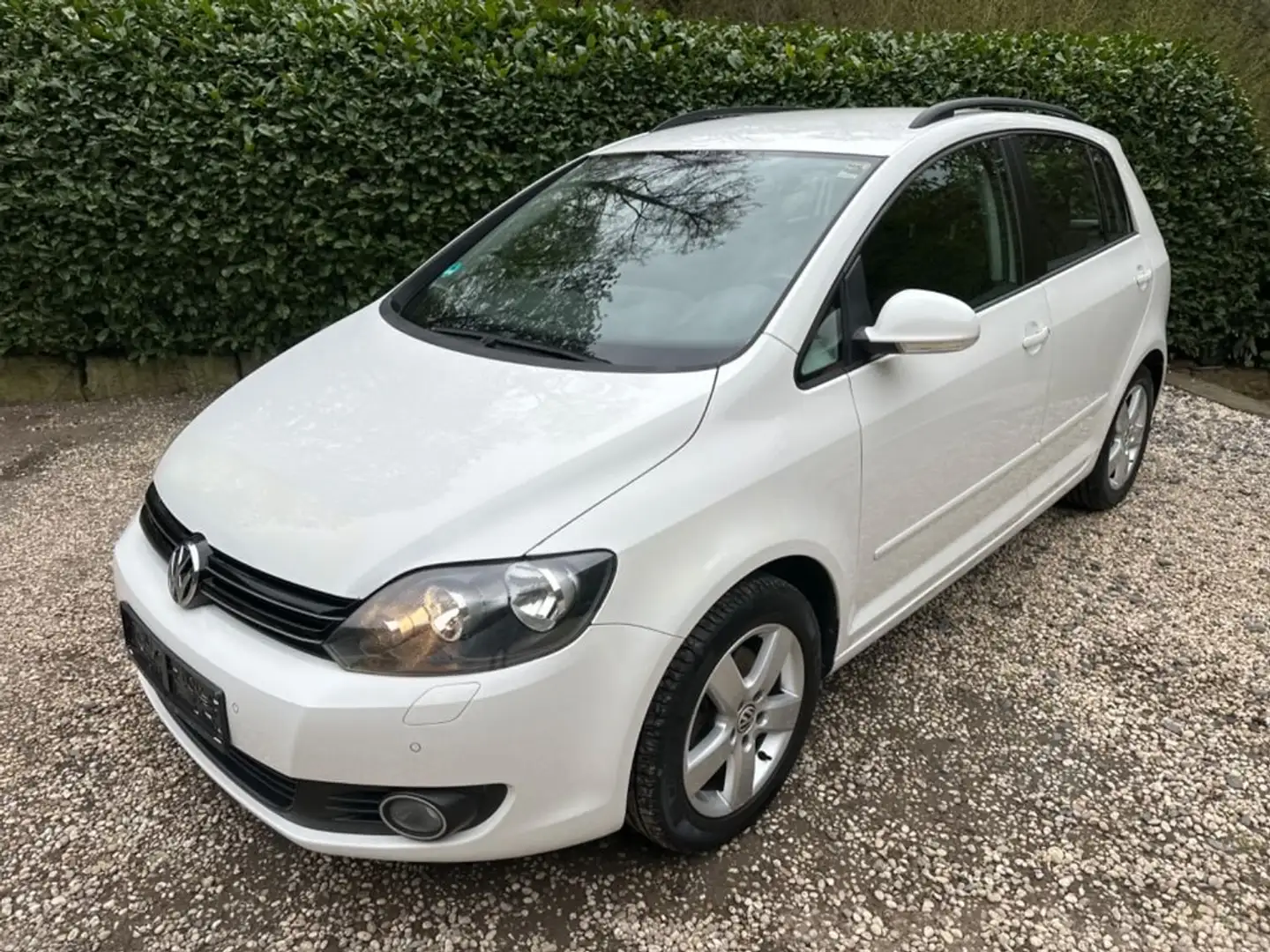 Volkswagen Golf Plus Golf Plus 1.6 TDI DPF Comfortline Blanc - 1