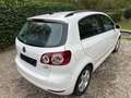 Volkswagen Golf Plus Golf Plus 1.6 TDI DPF Comfortline Blanc - thumbnail 3