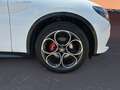 Alfa Romeo Stelvio 2.2 16V AT8 Veloce *Allrad *ACC Vert - thumbnail 11