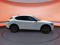 Alfa Romeo Stelvio 2.2 16V AT8 Veloce #ACC#LED#KAMERA Grün - thumbnail 5