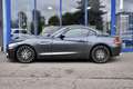 BMW Z4 sDrive20i M Sport Navi Porfessional Leather Keyles Gris - thumbnail 8
