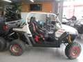 Polaris RZR 800 Blanc - thumbnail 1