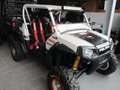 Polaris RZR 800 Blanc - thumbnail 5