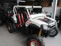 Polaris RZR 800 Blanc - thumbnail 2