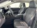 Lexus NX 300h 350h Business City 4WD Verde - thumbnail 6
