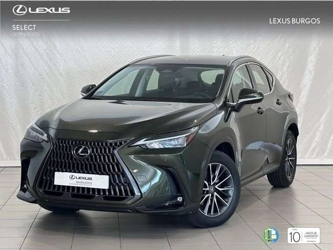 Lexus NX 300h 350h Business City 4WD - foto 1