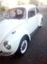 Volkswagen Maggiolino Maggiolino 1.2 L (messico) Weiß - thumbnail 12