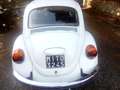 Volkswagen Maggiolino Maggiolino 1.2 L (messico) Weiß - thumbnail 7