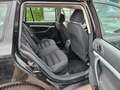 Skoda Octavia Ambiente Schwarz - thumbnail 13