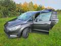 Ford Galaxy Ford Galaxy Titanium (Vollausstattung) 7-Sitzer Grau - thumbnail 10