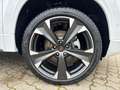 CUPRA Ateca 1.5 TSI DSG Beats Pano Winter Paket Wit - thumbnail 10