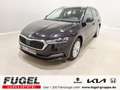 Skoda Octavia Combi 1.5 TSI eTEC Style LED|Pano|ACC|SHZ|Navi Schwarz - thumbnail 1