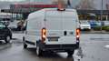 Fiat Ducato L3H2 BlueHDi 140 S&S *0% Finanzierung**Kame Weiß - thumbnail 5