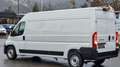 Fiat Ducato L3H2 BlueHDi 140 S&S *0% Finanzierung**Kame Weiß - thumbnail 7
