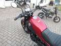 Benelli Leoncino 500 X  Trail Topzustand Rouge - thumbnail 7