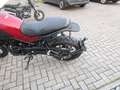 Benelli Leoncino 500 X  Trail Topzustand Rouge - thumbnail 5