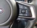 Subaru OUTBACK 2.5i Lineartronic Premium Gris - thumbnail 16