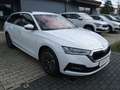 Skoda Octavia Combi 1.5 TSI e-TEC DSG Ambition Weiß - thumbnail 3