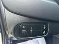 Kia Carens 1.7CRDi Drive 115 Weiß - thumbnail 9