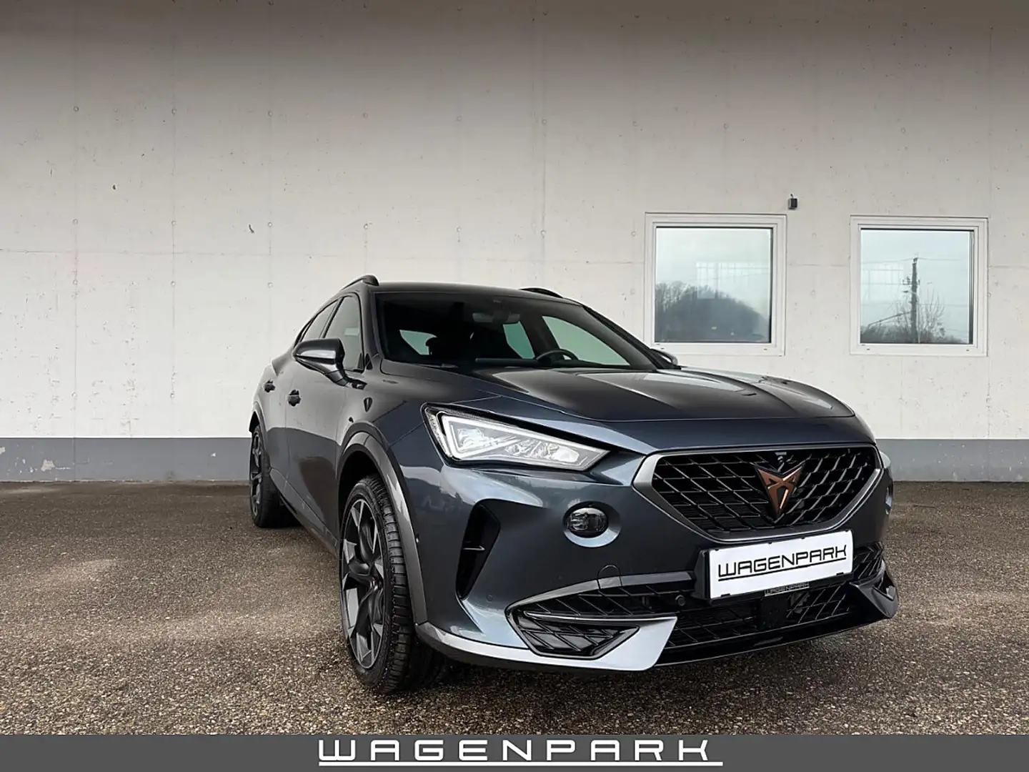 CUPRA Formentor VZ 2,0 TSI DSG 1. Besitz TOP FAHRZEUG Grau - 1