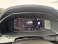 CUPRA Formentor VZ 2,0 TSI DSG 1. Besitz TOP FAHRZEUG Grau - thumbnail 29