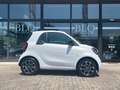 smart forTwo 1.0 71cv twinamic - PER NEOPATENTATI Bianco - thumbnail 1