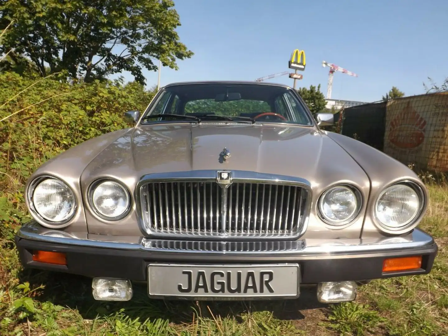 Jaguar XJ12 Serie 3 Золотий - 2