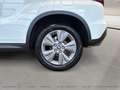 Suzuki Vitara 1.4 HYBRID ALLGRIP shine Weiß - thumbnail 11