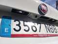 Fiat Tipo Sedán Diésel 1.6 96kW (130CV) manual 6v - Blanco - thumbnail 21
