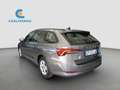 Skoda Octavia Octavia Wagon 2.0 Tdi evo Executive 115cv DSG Grigio - thumbnail 6