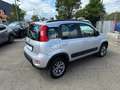 Fiat Panda 1.3 mjt 16v 4x4 s&s 95 CV Argento - thumbnail 3