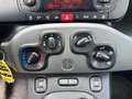 Fiat Panda 1.3 mjt 16v 4x4 s&s 95 CV Argento - thumbnail 12