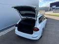Volkswagen Golf Variant Life 2.0 TDI **GARANTIE**PICKERL NEU**ACC**AHK** Weiß - thumbnail 25