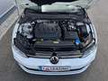 Volkswagen Golf Variant Life 2.0 TDI **GARANTIE**PICKERL NEU**ACC**AHK** Weiß - thumbnail 7