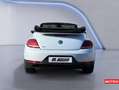 Volkswagen Coccinelle (2) CABRIOLET 1.4 TSI 150 DUNE BVM6 Wit - thumbnail 5