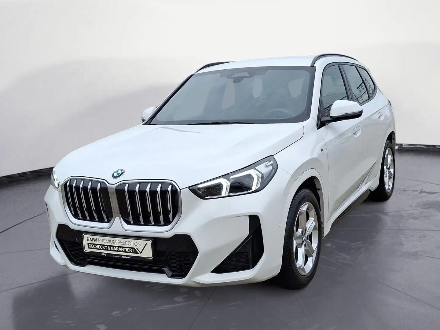 BMW X1 sDrive20i Steptronic M Sportpaket AHK E Sitz Weiß - 1