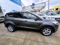 Ford Kuga 1.5TDCi Auto S&S Trend 4x2 120 Gris - thumbnail 8