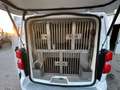 Citroen Jumpy Weiß - thumbnail 14