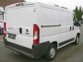 Fiat Ducato 30 130 Multijet L1H1 mit Anhängerkupplung Weiß - thumbnail 2