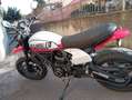 Ducati Scrambler Bianco - thumbnail 3