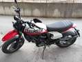 Ducati Scrambler Bianco - thumbnail 12