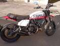 Ducati Scrambler Bianco - thumbnail 4