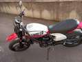 Ducati Scrambler Bianco - thumbnail 7