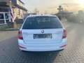 Skoda Octavia Combi Style 2.Hand LED,AHK,NAVI,BI-Xenon Wit - thumbnail 7