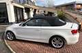 BMW 118 Serie 1 E88 Cabrio 118d Cabrio 2.0 Eletta 143cv Blanc - thumbnail 5
