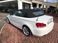 BMW 118 Serie 1 E88 Cabrio 118d Cabrio 2.0 Eletta 143cv Blanc - thumbnail 4