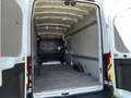 Ford Transit Trend L4H3 RWD 130pk €24.500 excl. btw Wit - thumbnail 6