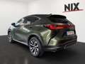 Lexus NX 350h Executive Line + Technik + Pano Grün - thumbnail 5